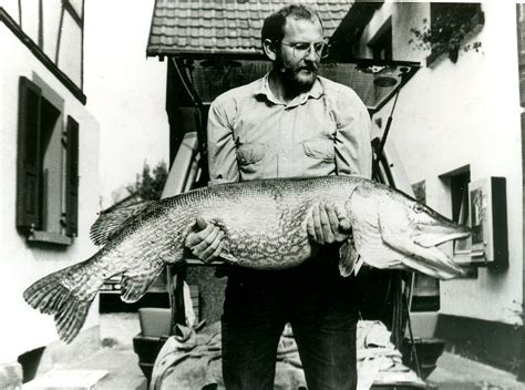 Top 10 Biggest Pike World Records of All Time - Game & Fish