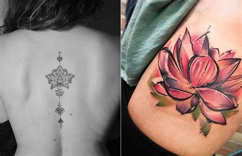 Hummingbird And Lotus Flower Tattoo Meaning | Best Flower Site