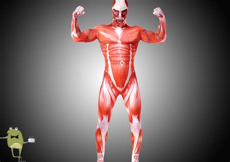 Attack on Titan Colossal Titan Cosplay Body Suit Costume on Storenvy