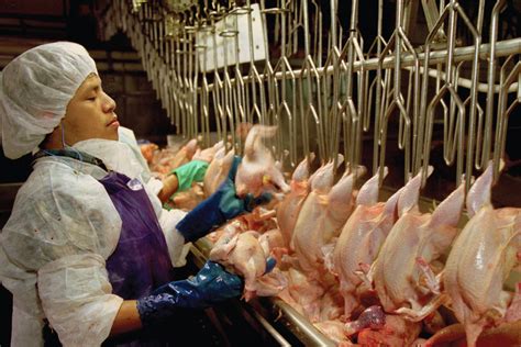 Workers Fear Injury as Administration Clears Way for Faster Chicken ...