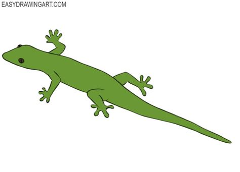 Cartoon Easy Cute Lizard Drawing Lizard Cute Draw Tutorial - skaterhoodies