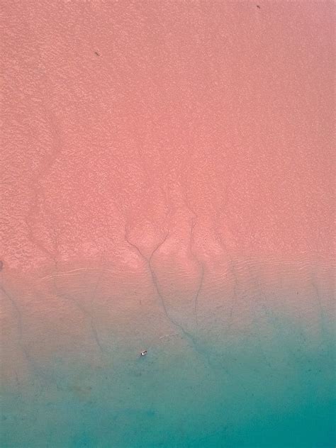 Blue veins, australia, beach, drone, drone shot, ocean, sand, travel, water, HD phone wallpaper ...