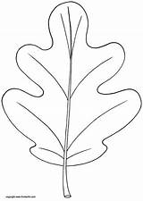 Leaf Coloring Pages sketch template