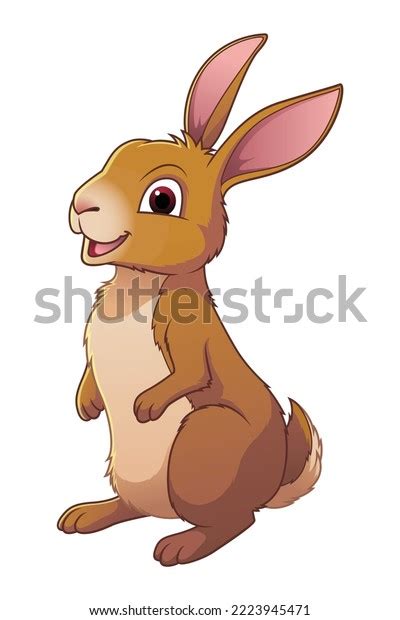 Hare Cartoon Photos and Images | Shutterstock