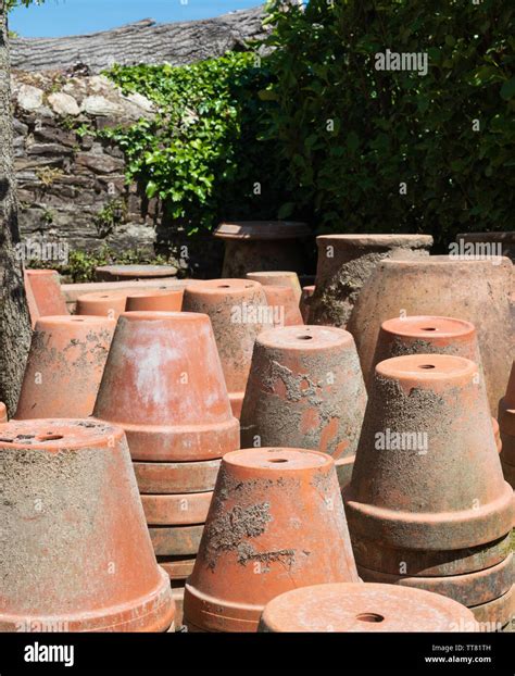 Terracotta plant pots Stock Photo - Alamy