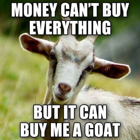 Pin by Heather Mudd on a facespace in 2020 | Goats, Cute goats, Baby goats