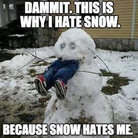 55 Funny Winter Memes That Are Relatable If You Live in the North