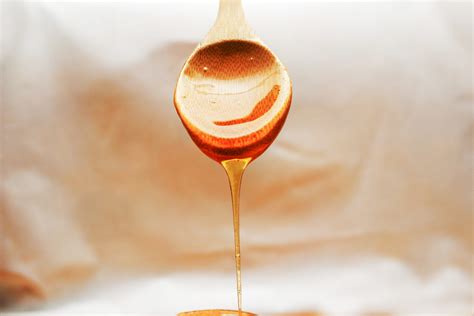 Eating local honey for allergies might really work | Popular Science