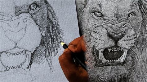 How to draw a angry lion face ! - YouTube