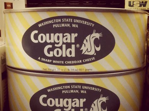 Cougar Gold