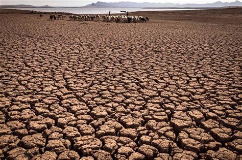 Millions at risk of climate displacement in Middle East - Climate change - COP27 - Ahram Online