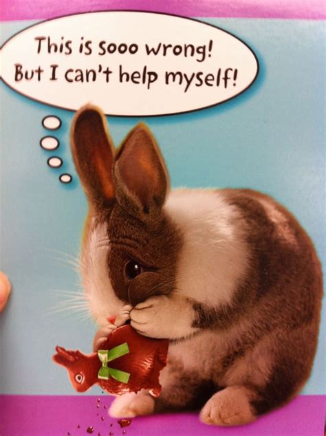 Easter card | Easter humor, Funny photos, Funny