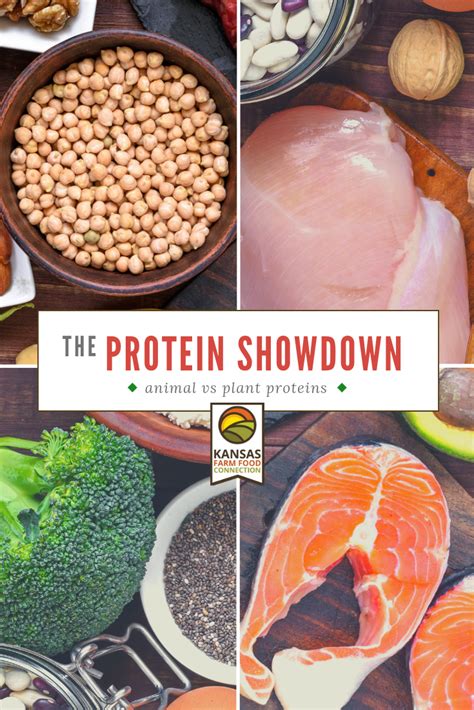 Animal Protein vs Plant Protein | Kansas Farm Food