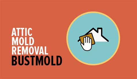 Attic Mold Removal - How to Get Rid of Mold in Attic | Mold Busters