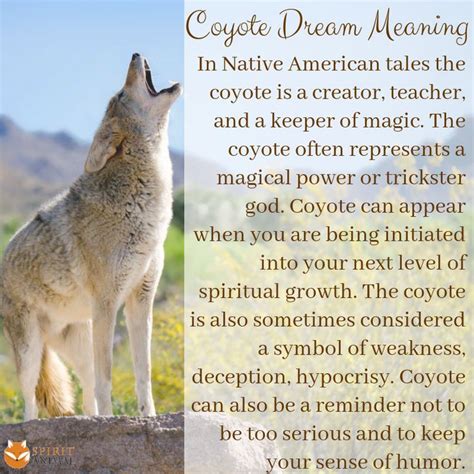 Pin on Coyote Spirit Animal