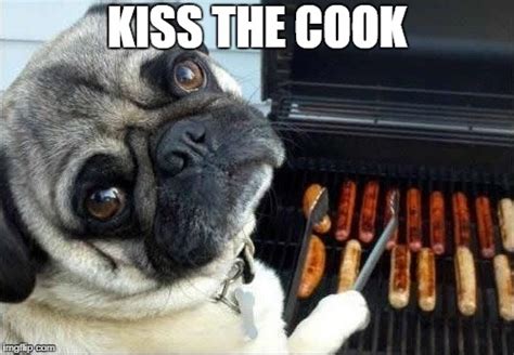 Dog cooking bbq - Imgflip