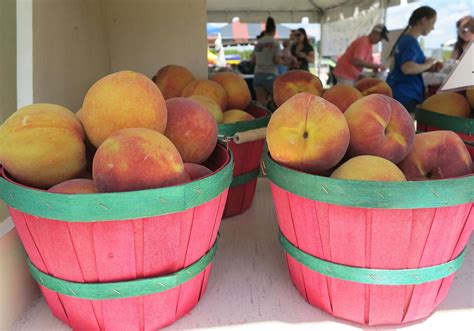 McLeod Farms hosts Peach Festival | Pee Dee Weekly | scnow.com