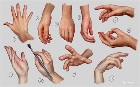 Hand Study 1 | Références pour dessiner une main, Dessin main, Dessin corps humain