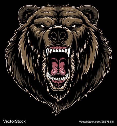 Head a ferocious grizzly bear Royalty Free Vector Image