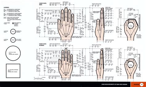 Human Scale From Henry Dreyfuss | Human dimension, Interior design ...