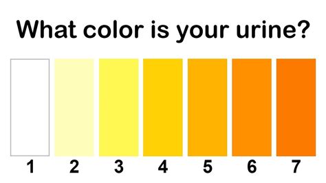 Urine Color Meaning | Adult & Pediatric Urology | Urine Color Chart