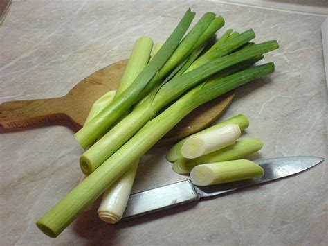 Health Benefits of Leeks - Nutrition Facts, Uses, Best Leek Recipes ...