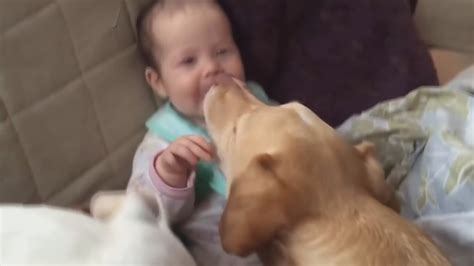 Adorable Babies and Dogs Playing Together - TRY NOT TO LAUGH and AWW! - YouTube