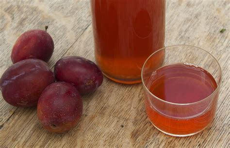 plum wine recipe 5 gallon - Times Were Good Webcast Image Archive