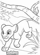Lion Guard Coloring Pages  Best For Kids sketch template