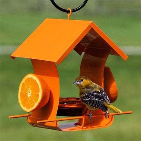 Buy the Metal House Oriole Feeder at duncraft.com. 100% Satisfaction ...