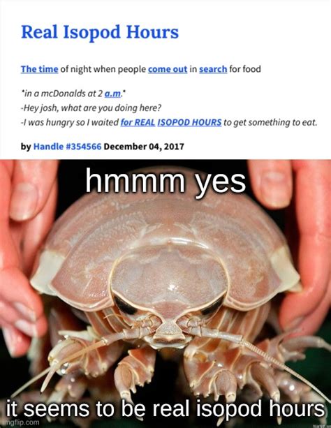 real isopod hours... a majestic time. - Imgflip