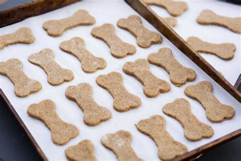 Dog Treats Homemade: Healthy and Delicious Options for Your Furry Friend | Dog Lovers