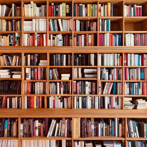 How 10 Authors and BookTok Influencers Organize Their Bookshelves ...