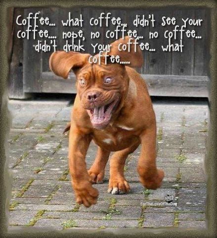 Friday Funny: Coffee? What Coffee? | Doggies.com Dog Blog