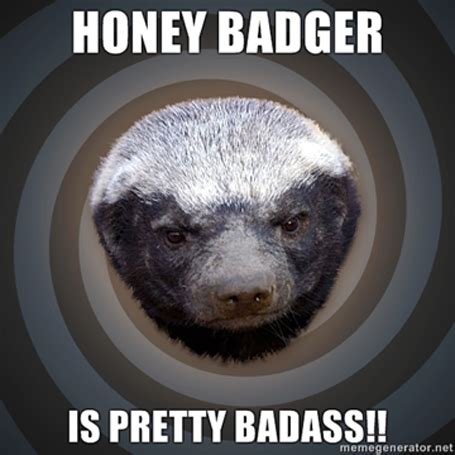 Honey Badger Funny Quotes. QuotesGram