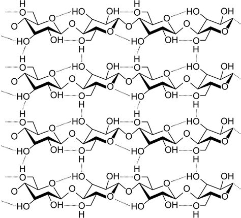 Cellulose svg, Download Cellulose svg