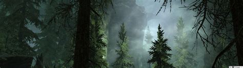 Forest Fog - 5120x1440 Wallpaper - teahub.io