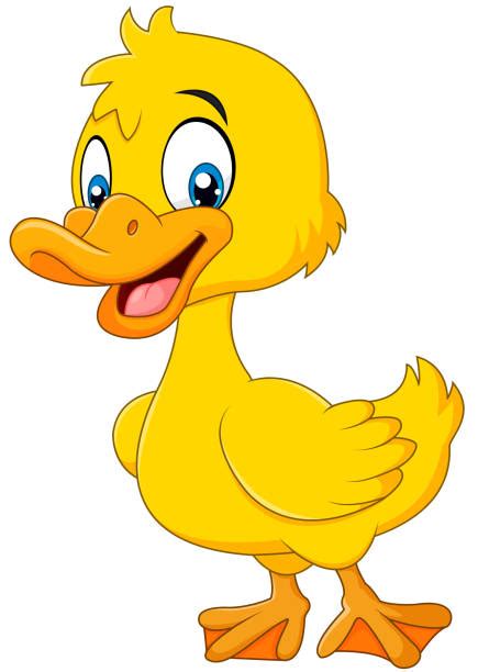 Royalty Free Yellow Duck Clip Art, Vector Images & Illustrations - iStock