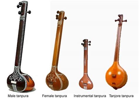 Raja Sitarmaker Brasil: Tanpura ou Tambura