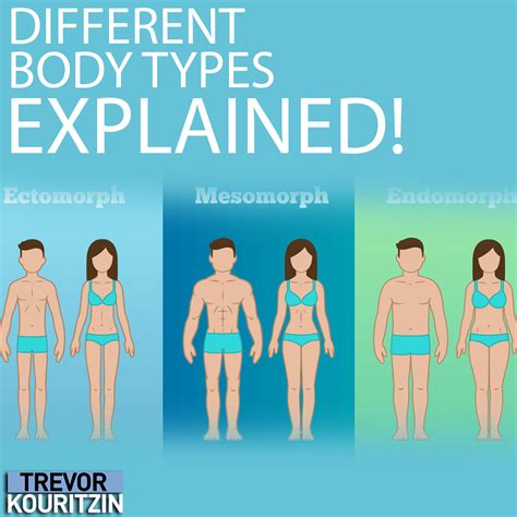 Different Body Types Explained! - Trevor Kouritzin