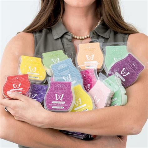 scentsy bars | Scentsy Independent Director