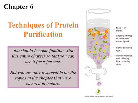 PPT - Techniques of Protein Purification PowerPoint Presentation - ID:342073