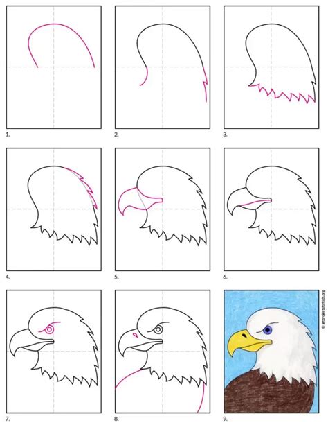 How to Draw a Bald Eagle Head · Art Projects for Kids in 2021 | Eagle drawing, Kids art projects ...