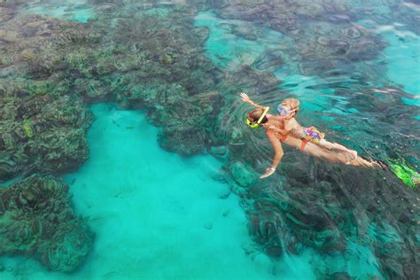 Your Guide to Maui Snorkeling | My Perfect Stays