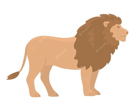 Premium Vector | Lion with a mane on white background