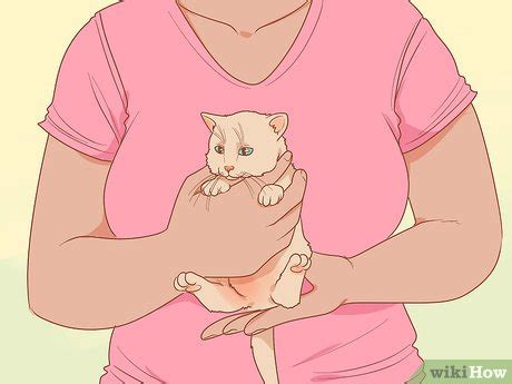 How to Pick Up a Kitten (with Pictures) - wikiHow Pet