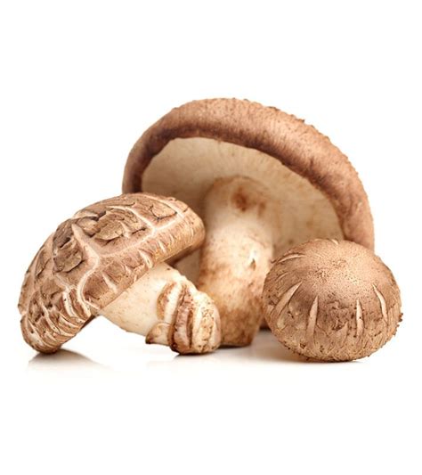Shiitake Mushrooms: Nutritional Information, Benefits, And Side Effects Knee Arthritis Exercises ...
