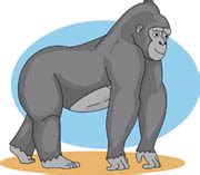 Gorilla clipart clip art, Gorilla clip art Transparent FREE for ...