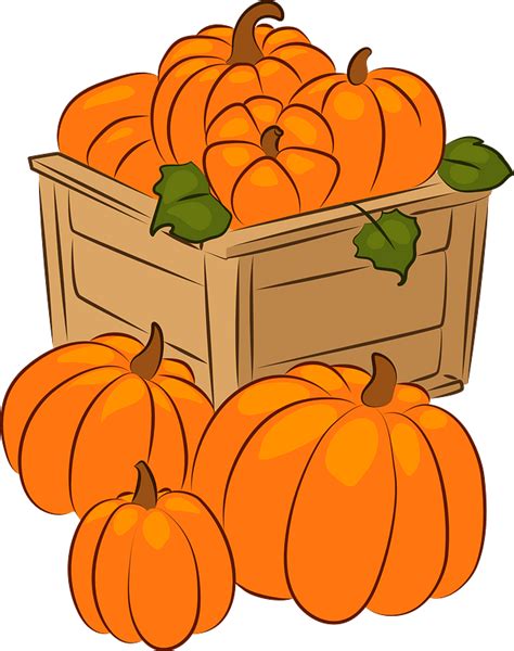 Pumpkins clipart. Free download transparent .PNG | Creazilla