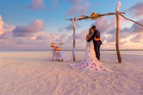 Wedding Beach Stock Photos, Images and Backgrounds for Free Download